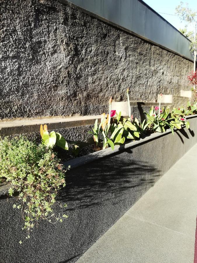 Fx Carvalhal Hotell Funchal  Exteriör bild